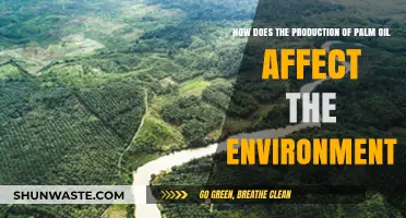 Palm Oil Production: Environmental Impacts and Sustainability Challenges