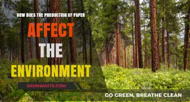 Paper Production's Environmental Impact: Sustainability Challenges and Solutions