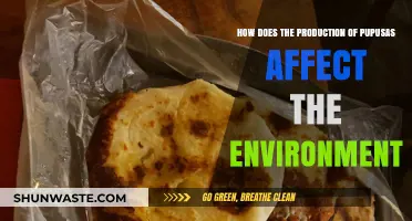 Pupusas' Environmental Impact: Production, Sustainability, and Eco-Friendly Practices