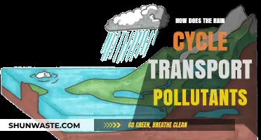 The Rain Cycle's Pollutant Transport: A Natural Cleanse?