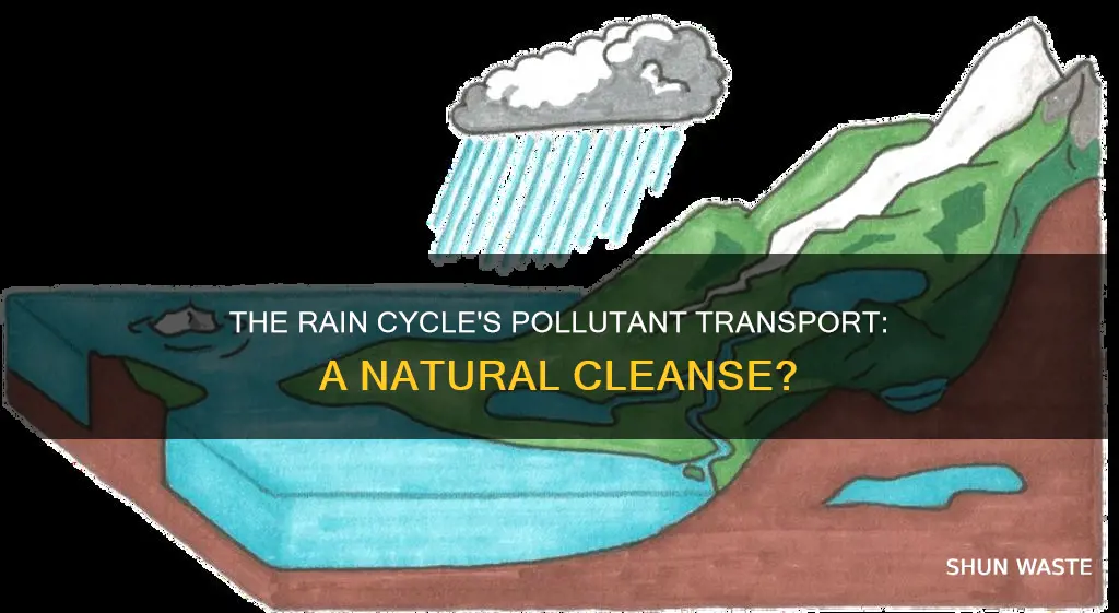 how does the rain cycle transport pollutants