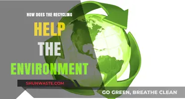 Recycling's Impact: How It Protects Our Planet and Preserves Resources