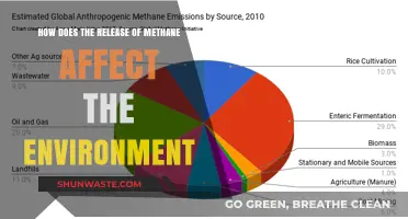Methane's Environmental Impact: Uncovering Its Role in Climate Change