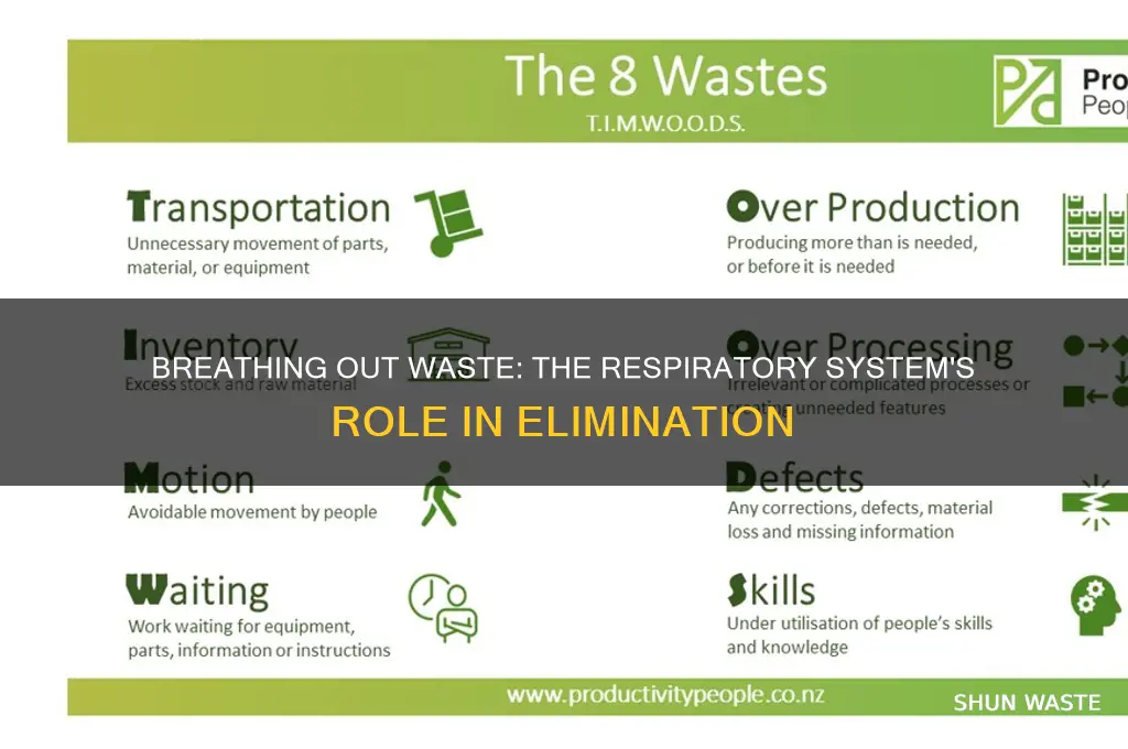 how does the respiratory system eliminate waste