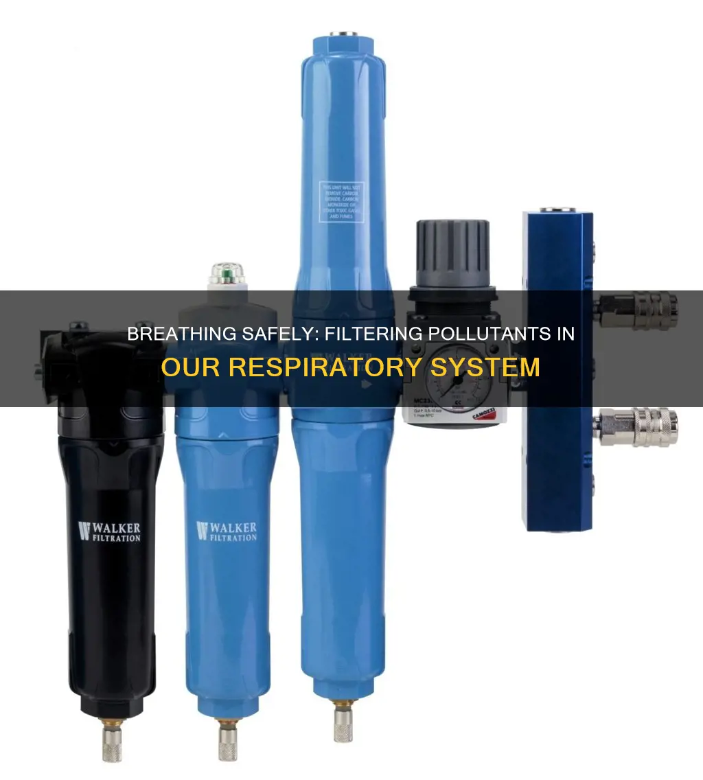how does the respiratory system filter pollutants
