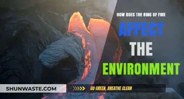 Ring of Fire's Environmental Impact: Earthquakes, Volcanoes, and Ecosystems