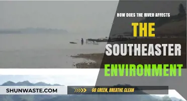 River's Impact: Shaping the Southeastern Environment and Ecosystems