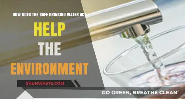 Safe Drinking Water Act: Environmental Benefits and Ecosystem Protection Explained