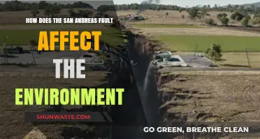 San Andreas Fault's Environmental Impact: Shaping California's Landscape and Ecosystems