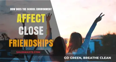 School Environment's Impact on Close Friendships: Shaping Bonds and Connections