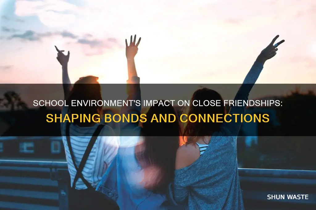 how does the school environment affect close friendships