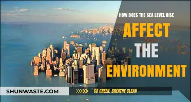 Rising Seas: Environmental Impacts and Ecosystem Disruptions Explained