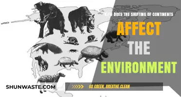 Continental Drift's Impact: Shaping Ecosystems and Global Environmental Changes