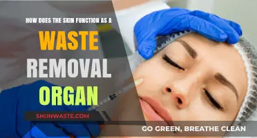 Skin's Role in Detoxifying and Eliminating Waste from the Body