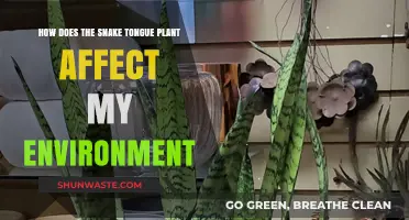 Snake Tongue Plant's Impact: Environmental Effects and Ecological Significance Explored