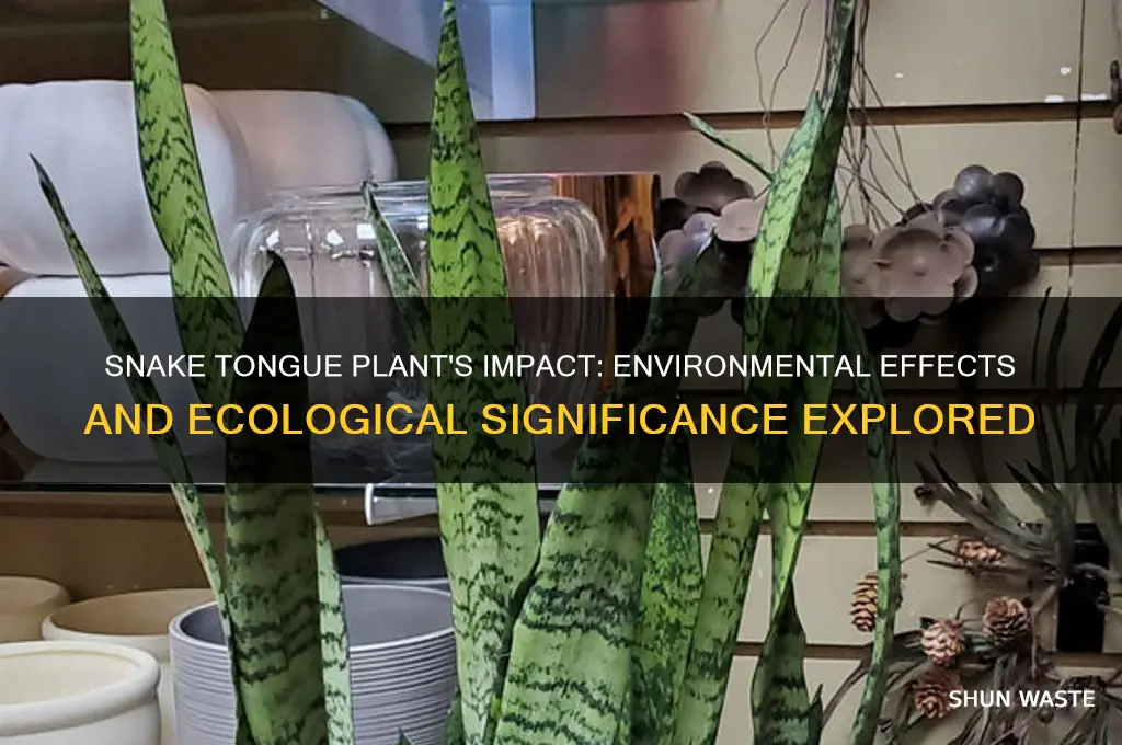 how does the snake tongue plant affect my environment