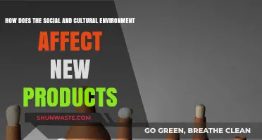 Cultural Influences: Shaping New Products in Diverse Social Environments