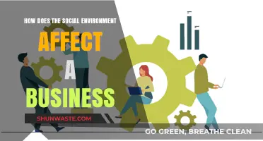 Social Environment's Impact: Shaping Business Success and Challenges