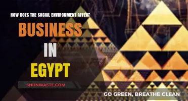 Egypt's Social Landscape: Shaping Business Dynamics and Economic Growth