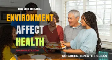 Social Surroundings, Health Outcomes: Exploring the Impact of Environment