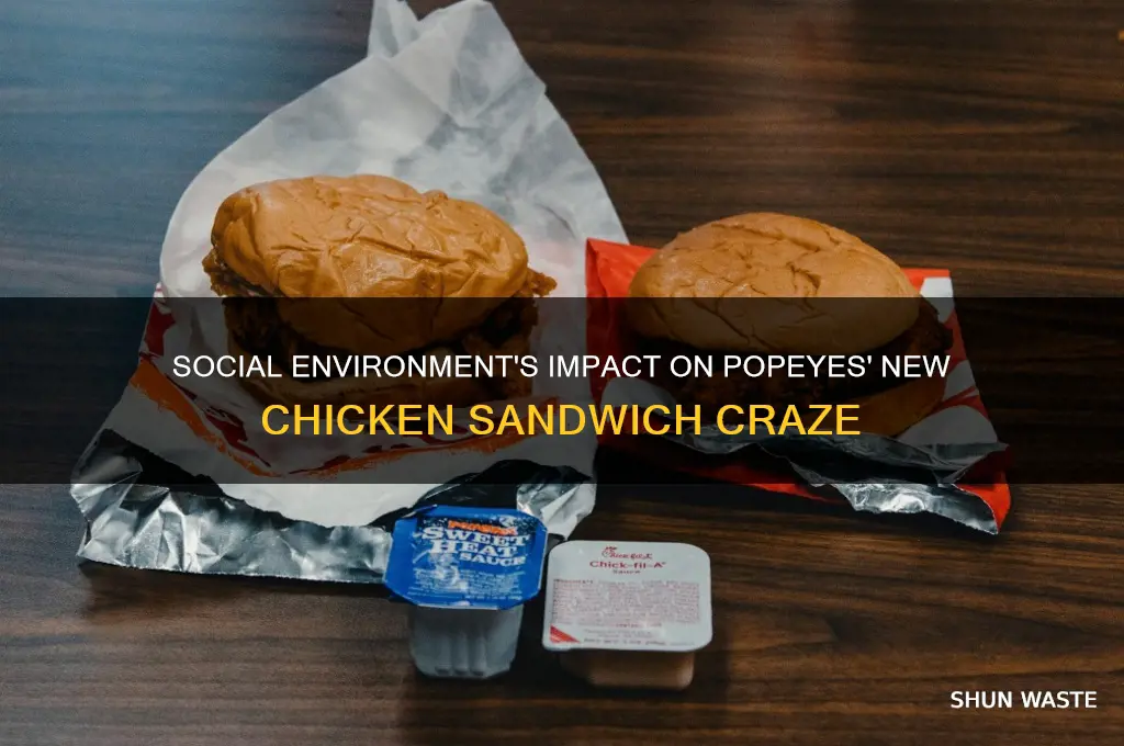 how does the social environment affect popeyes new chicken sandwich