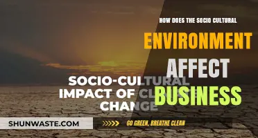 Socio-Cultural Influences: Shaping Business Strategies and Market Dynamics