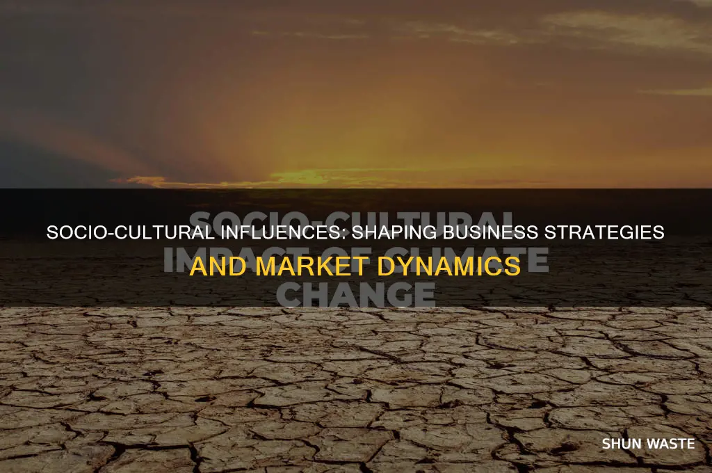how does the socio cultural environment affect business