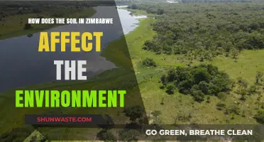 Zimbabwe's Soil Impact: Environmental Effects and Sustainable Practices