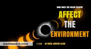 Solar Eclipse Impacts: Unveiling Environmental Changes During Celestial Darkness