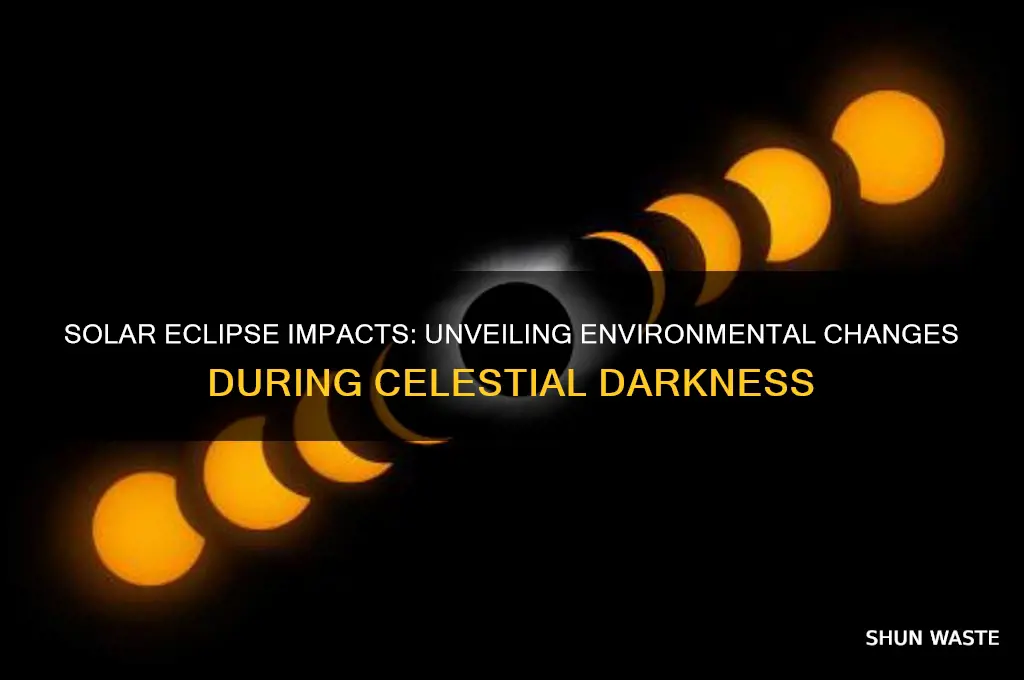 how does the solar eclipse affect the environment