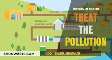 Green Solutions: Treating Pollution, Saving the Planet