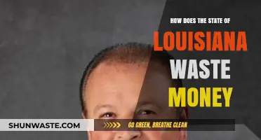 Louisiana's Budget Blunders: Where Taxpayer Dollars Go to Waste