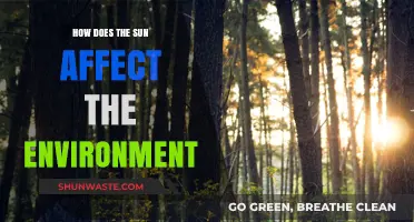Sun's Impact: Shaping Ecosystems, Climate, and Environmental Balance