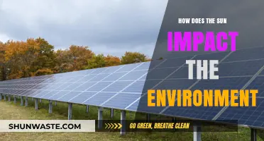 Sun's Power: Environmental Impacts and Ecosystem Effects Explained
