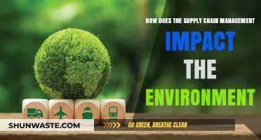 Sustainable Supply Chains: Environmental Impact and Green Logistics Strategies