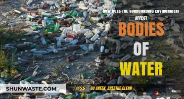 Environmental Impacts: How Surroundings Shape and Transform Water Bodies