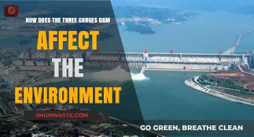 Environmental Impact of the Three Gorges Dam: A Comprehensive Analysis
