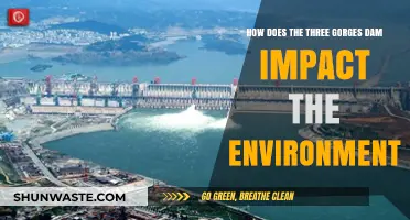 Three Gorges Dam: Environmental Impacts and Ecosystem Changes Explored