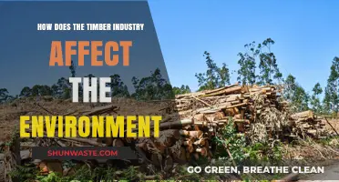 Timber Industry's Environmental Impact: Deforestation, Biodiversity Loss, and Climate Change