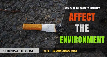 Tobacco's Environmental Toll: Pollution, Deforestation, and Climate Impact Explained