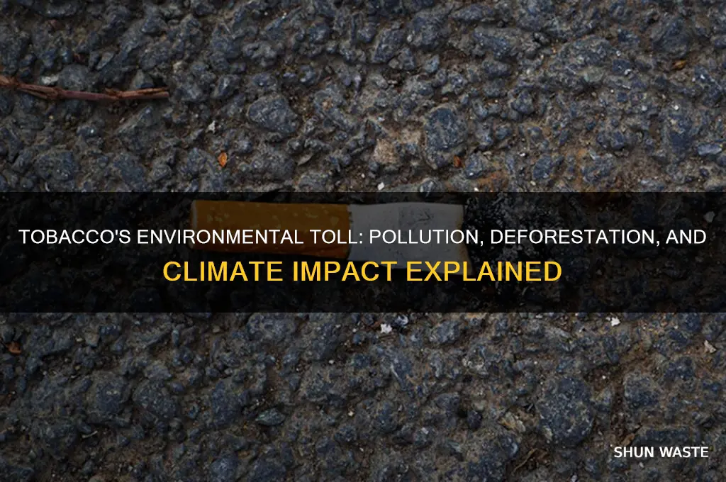 how does the tobacco industry affect the environment