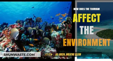 Exploring Tourism's Environmental Impact: Challenges, Solutions, and Sustainability