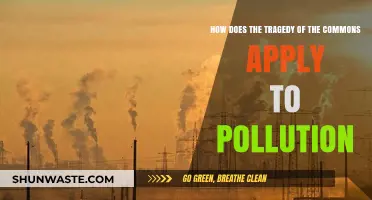 The Tragedy of Commons: Pollution's Dark Secret