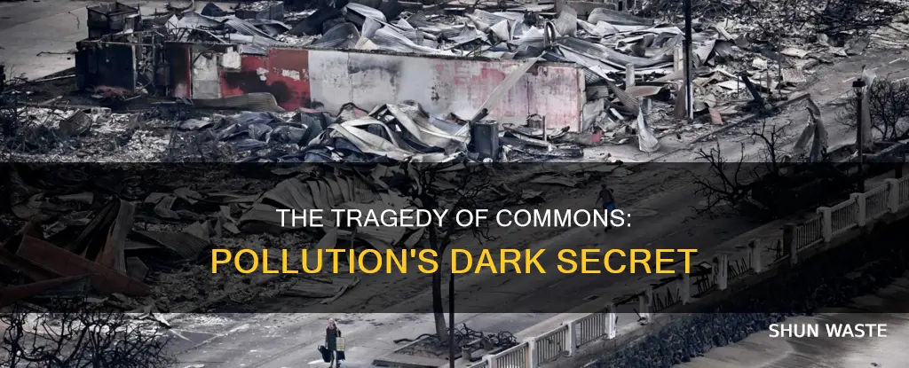 how does the tragedy of the commons apply to pollution