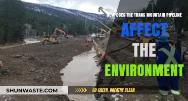 Trans Mountain Pipeline: Environmental Impacts and Ecosystem Concerns Explored