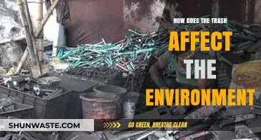 Trash's Environmental Impact: Pollution, Wildlife Threats, and Ecosystem Destruction Explained