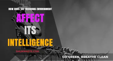 Troodon's Intelligence: The Impact of Its Environment on Cognitive Abilities