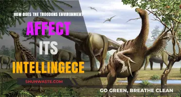 Troodon Intelligence: Environmental Influences on Cognitive Evolution and Adaptation