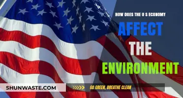 U.S. Economic Impact: Environmental Consequences and Sustainability Challenges