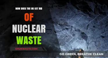 UK's Nuclear Waste Disposal: Strategies, Challenges, and Sustainable Solutions
